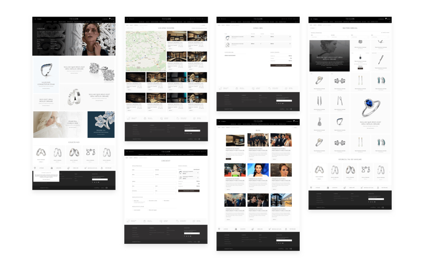 Upgrading from a limiting proprietary platform to Magento 2 screenshot 4